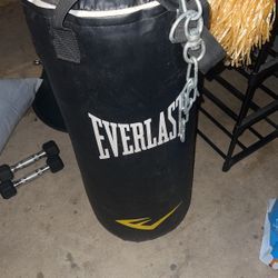 Everlast Punching Bag