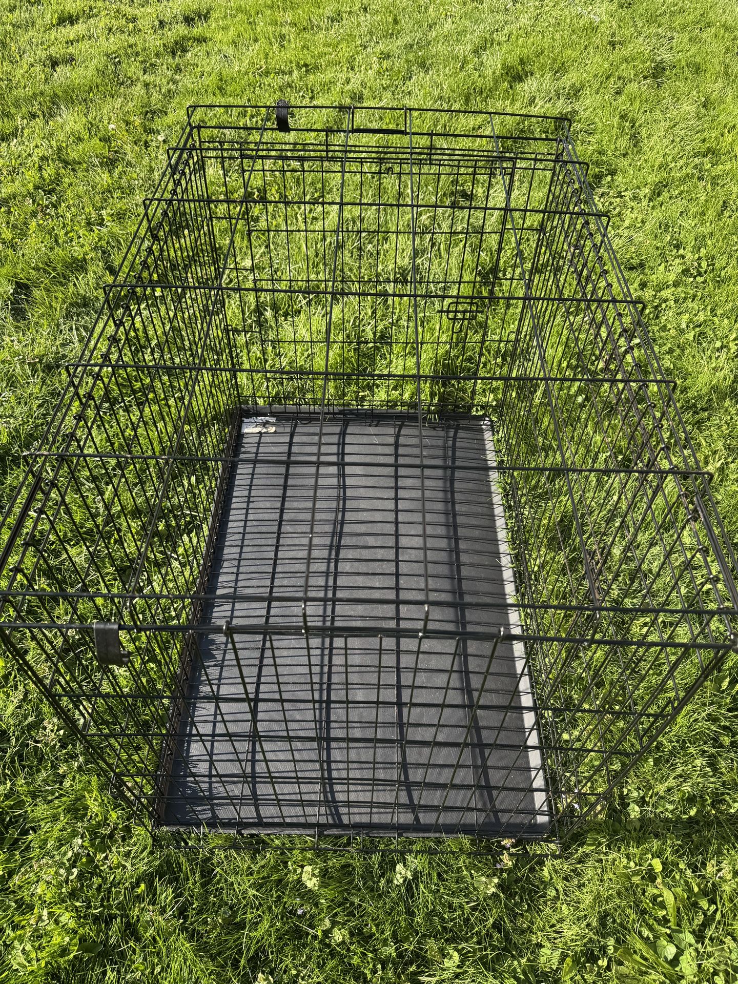 Animal Cage