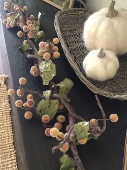 Fall/Christmas berry branches