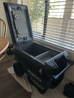 Igloo Cooler