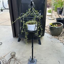 Metal Plant Stand With Bird On Top And Live Plant
