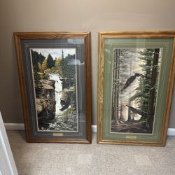 Large Oak Framed eagle Pictures