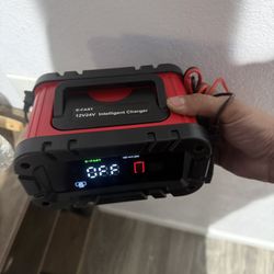 E Fast 12v-24v Battery Charger 