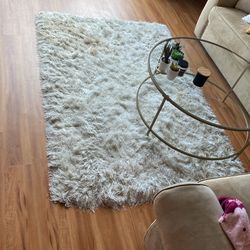 Living Room Rug