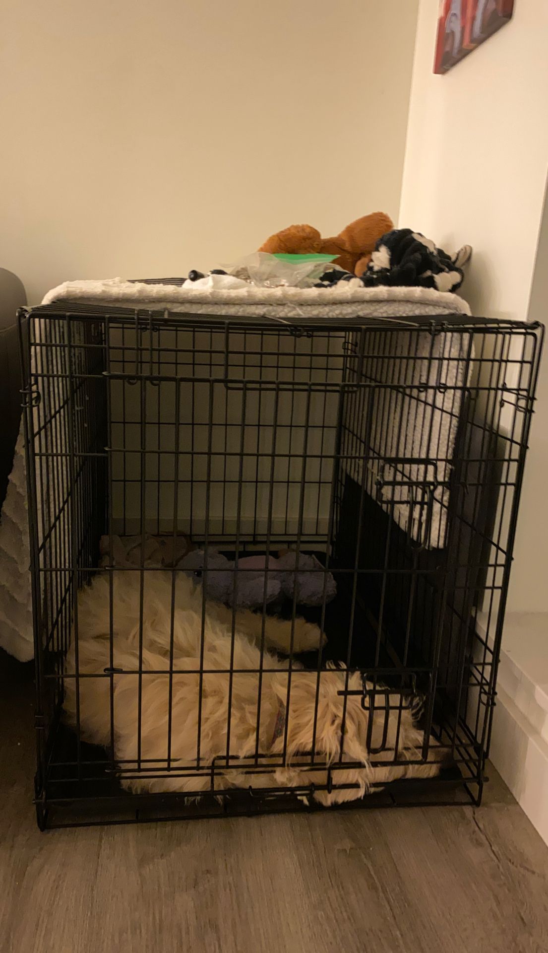 Amazon Dog Kennel/Crate
