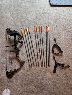 Compound hunting bow