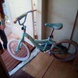 Girls Frozen Theme Bike Like New 
