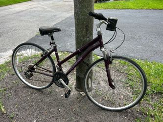Schwinn Third Avenue Bike