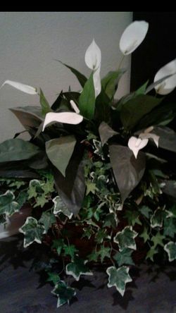 Beautiful HUGE Faux Floor Plant $40.