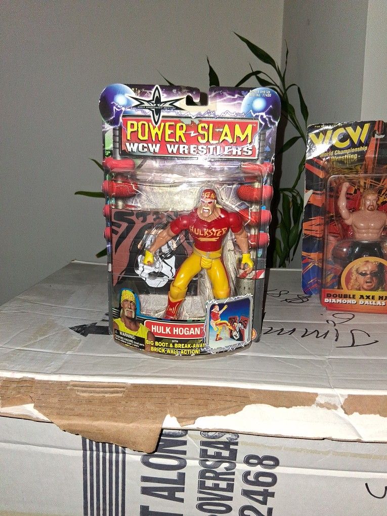 Hulk Hogan