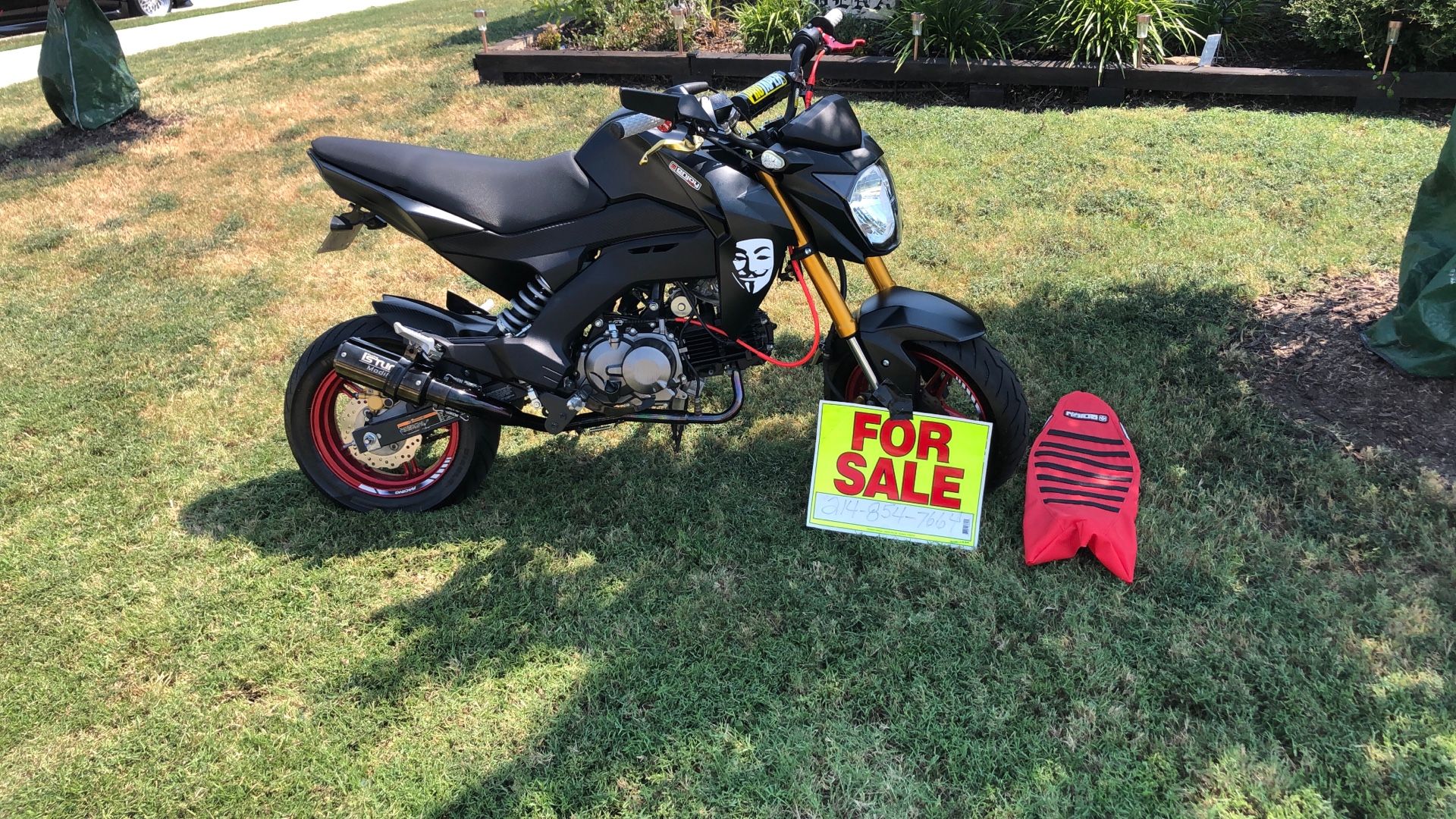 2022 Kawasaki Z125 pro