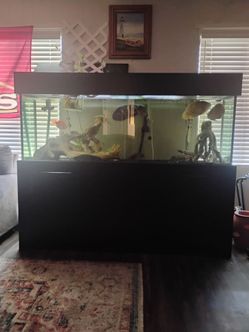 Fish tank for sale