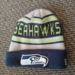 New Seattle Seahawks Football NFL Sports Game Team Knit Hat Beanie