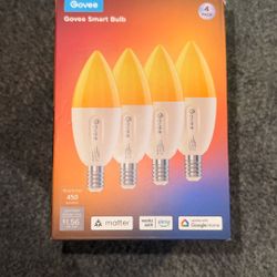Govee Smart Bulb