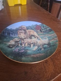Collectors plate