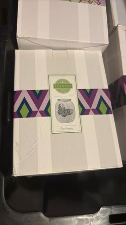 Fly away scentsy warmer