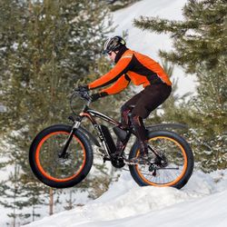 Electric Bike 26"- 350W Electric Bicycle With Removable 36V- 8A Lithium Battery - 20 mph Adult Electric Bicycles  (P30 PLUS)