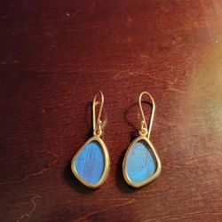 Dangle Real Butterfly Earrings 