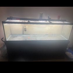 125 Aquarium Setup