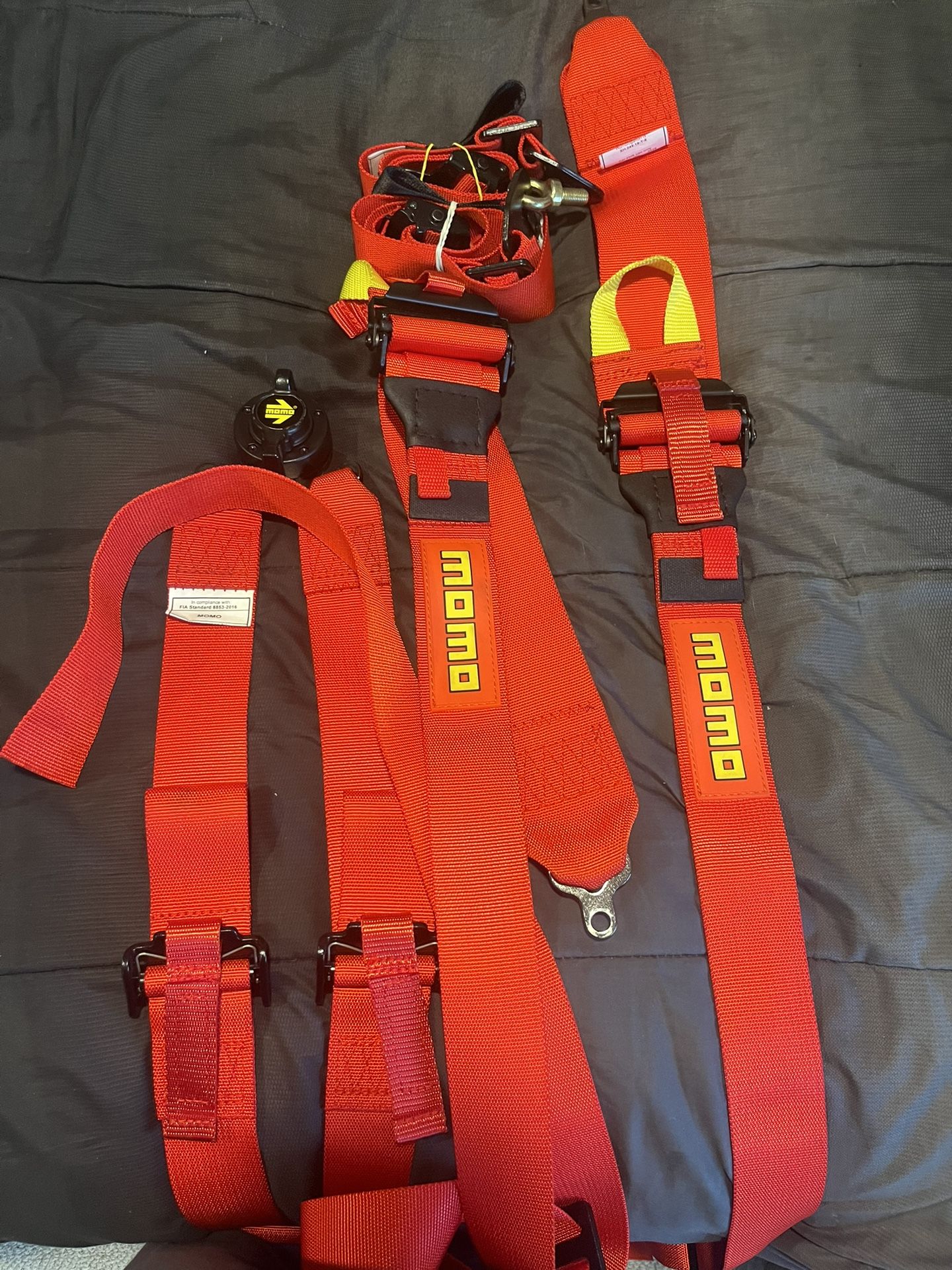 Racing Harness