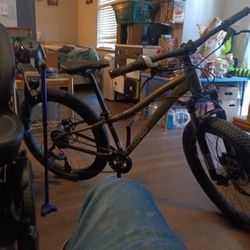 Mountain Bike