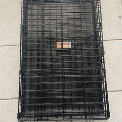 Black Dog Cage 
