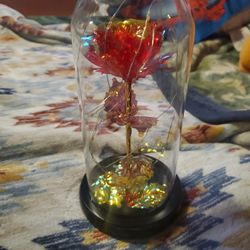 Happy Mothers Day  🎁 