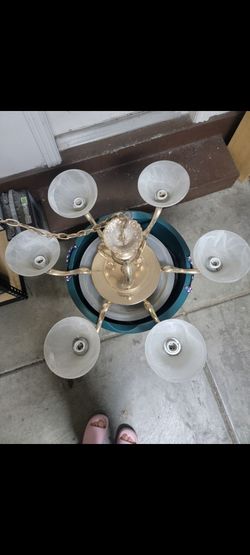 Beutifull Chandaliear