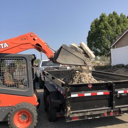 Skid Steer, Bobcat, Kubota, John Deere, Cat