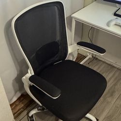 Ergonomic White Mesh Office Chair