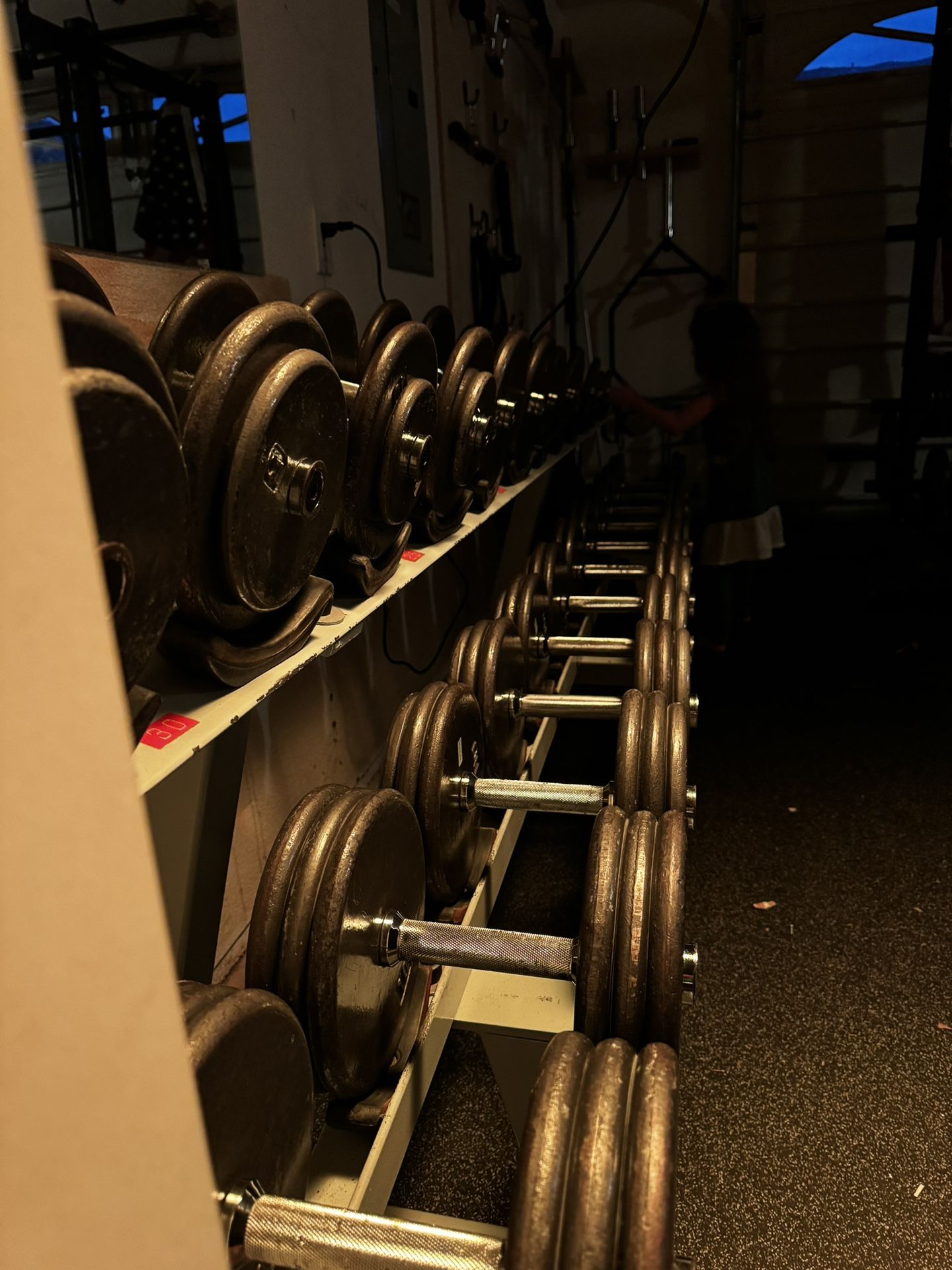 5-60lbs Pro style dumbbells