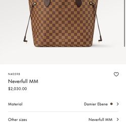 Louis Vuitton Bag 