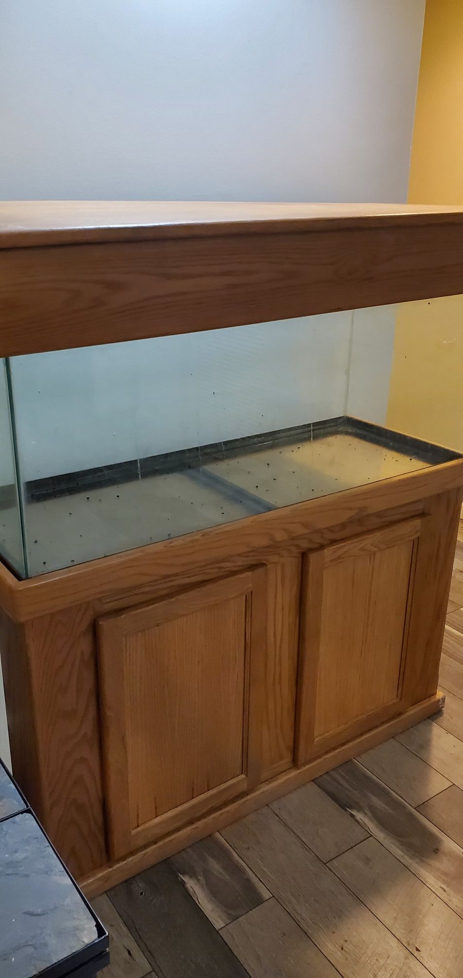 75 gallon fish tank