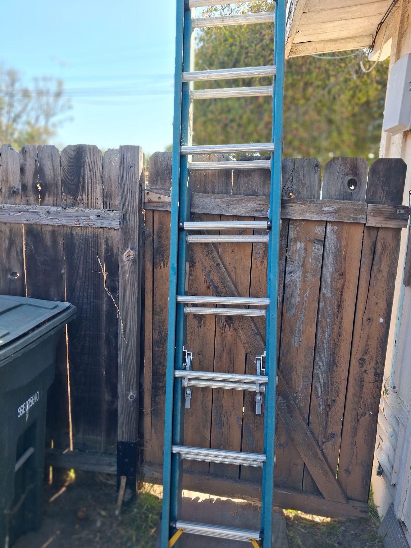 Werner Ladder