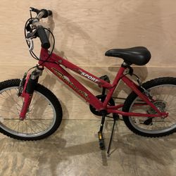 Roadmaster SX Bicycle