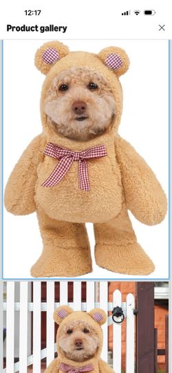 Teddy Bear Dog Costume with Hood