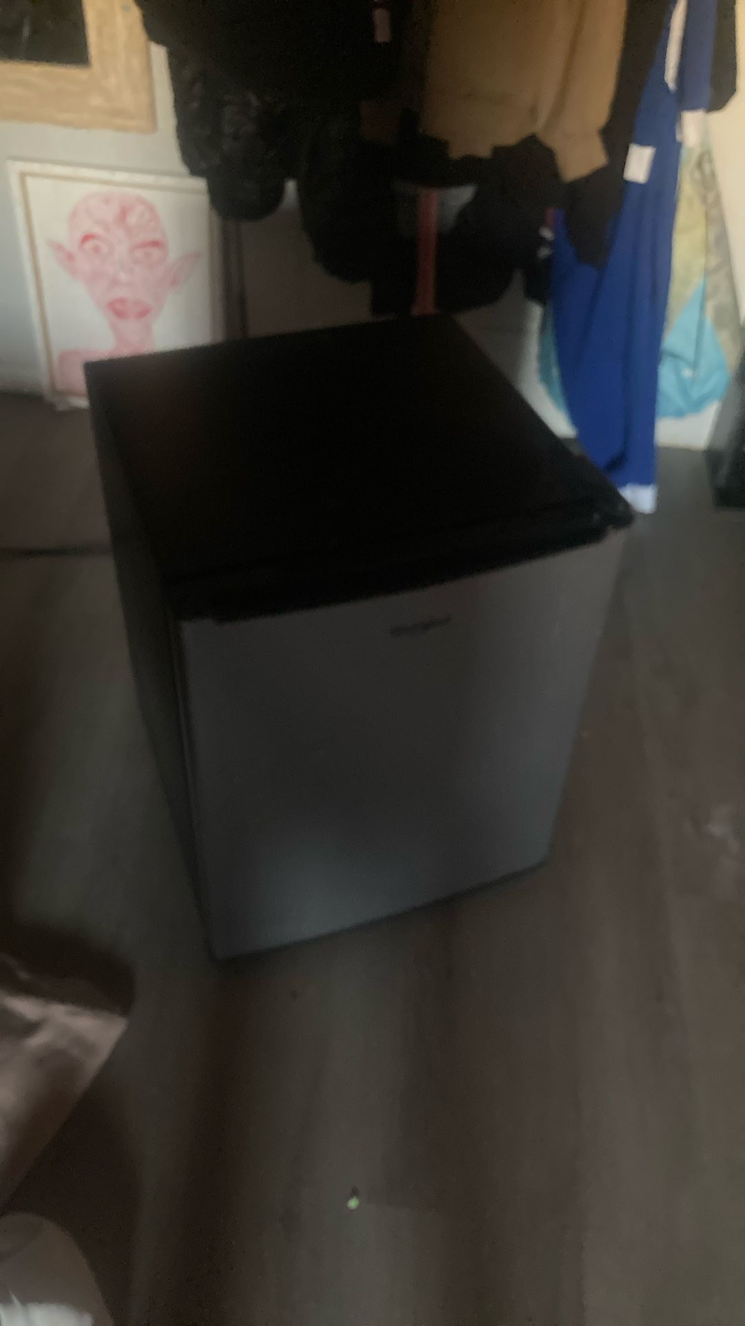 Mini Fridge