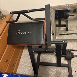 Biceps/Triceps Machine