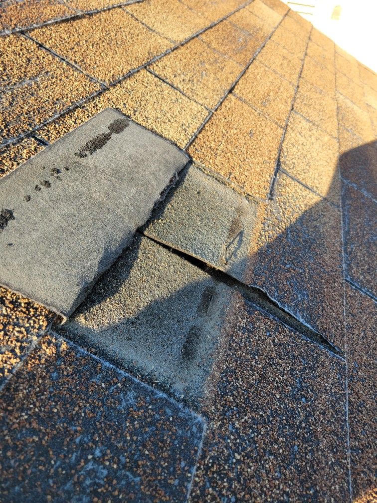 Cool Duration Shingles 