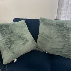 Throw Pillows 