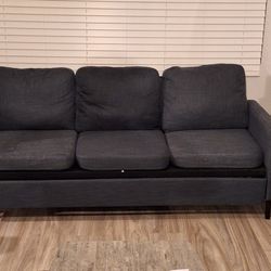 Den/Living Room Sofa