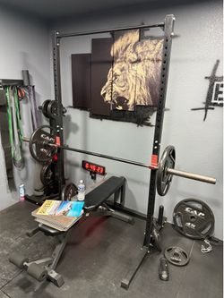Bench with plates and rack and plate holder tree