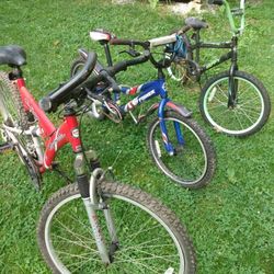 3 Bike's One Adult 2 Kids . Red Mountain Bike . Blue Kids Bike & Green Kids Bike . 