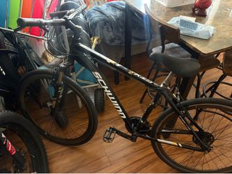 schwinn bike gtx 700c