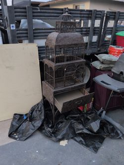 Bird Cage For Sale