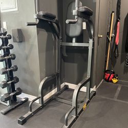  Leg Raise w/ Dip Stand & Push Up Station