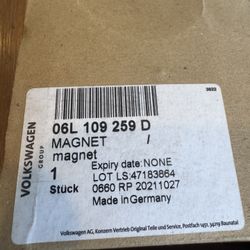 Audi VW Camshaft Adjuster Magnet - Genuine VW 06L109259D