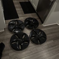 Tesla 19 Inch Hubcaps