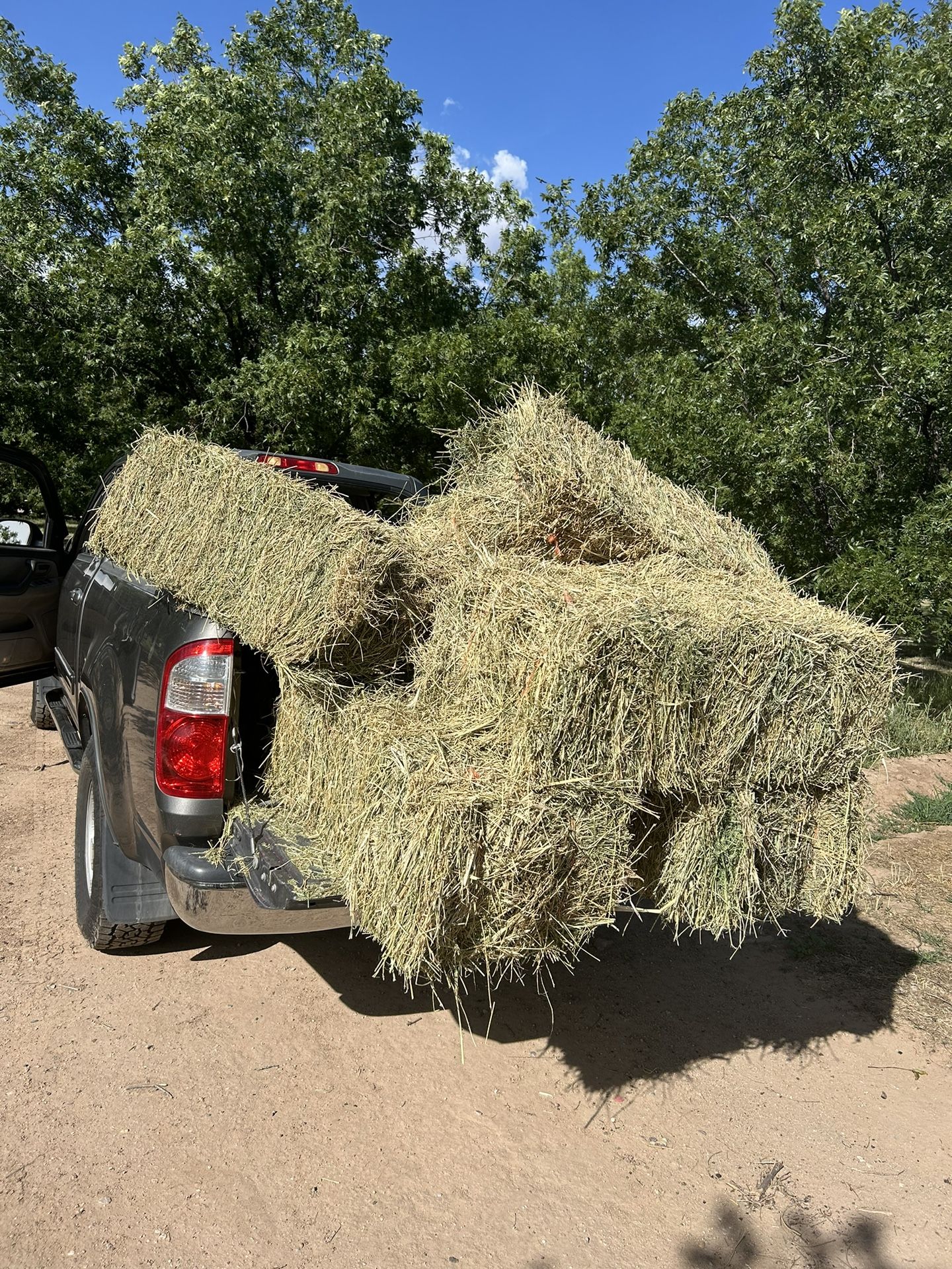 Alphalpa Hay Bales 30 Bales