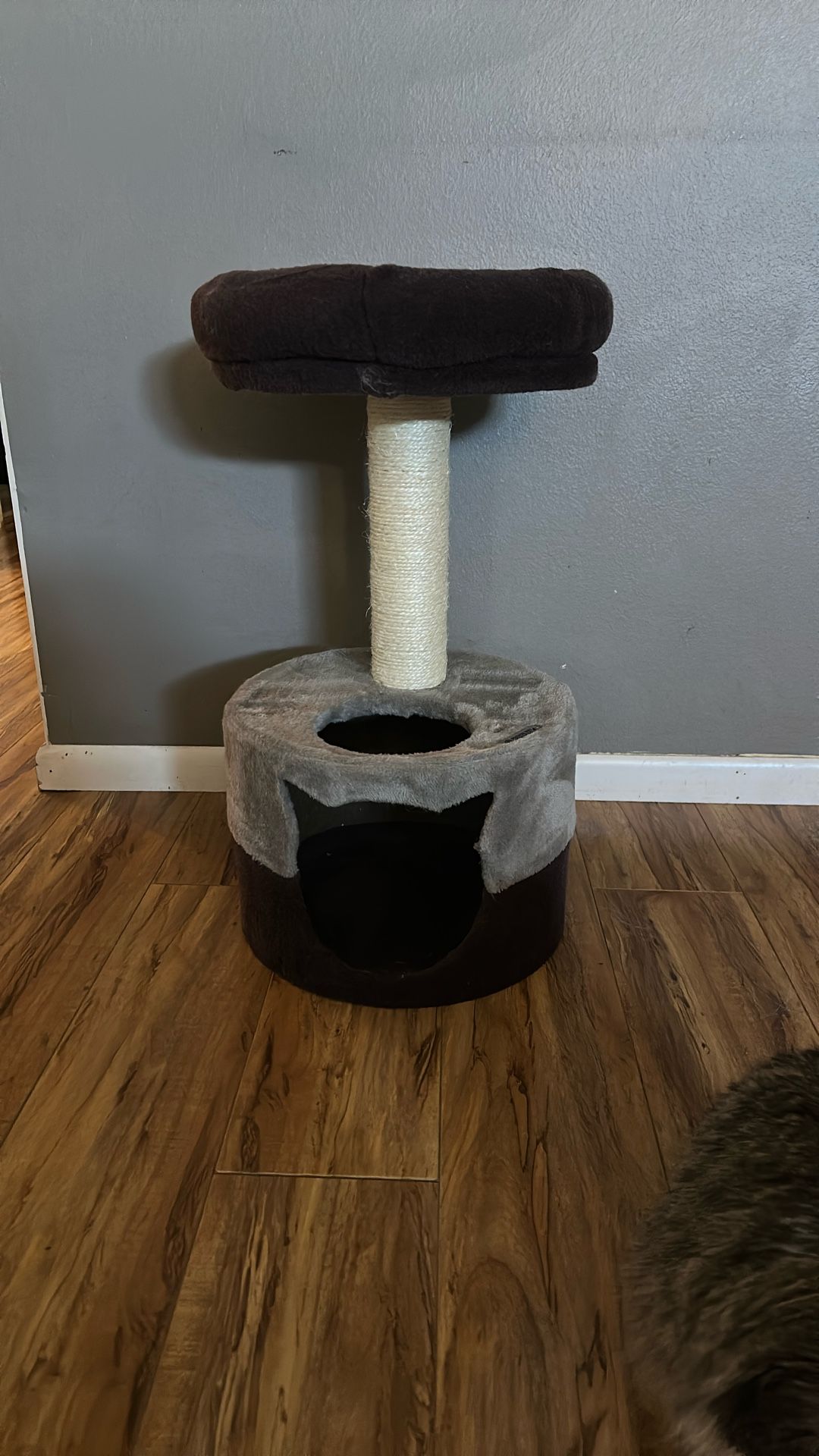 Small Cat Tree